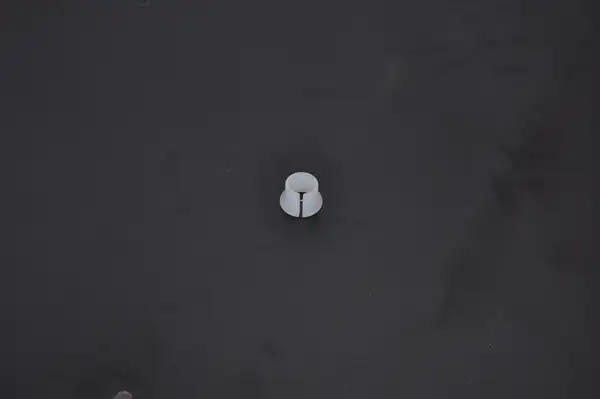 بوش پدال کلاج پراید