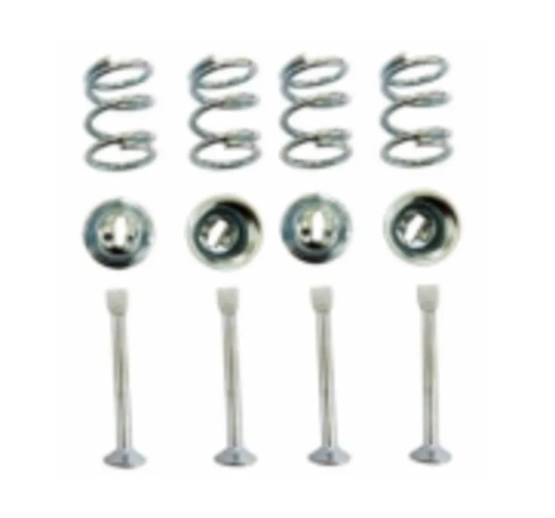 وازم لنت چرخ عقب - T5 206 gallery0